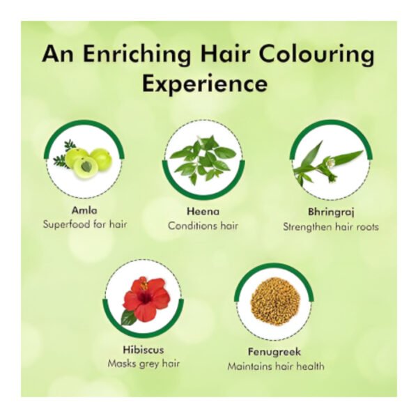 Indica easy 10-Minute SHAMPOO Hair Color  3+1 - Image 4